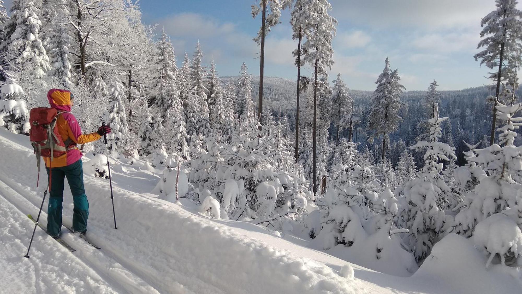 Apatrament Morawka 19 Stronie Slaskie Exterior foto
